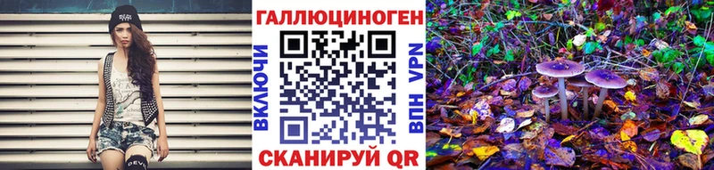 Псилоцибиновые грибы GOLDEN TEACHER  Купить закладки  Ермолино 