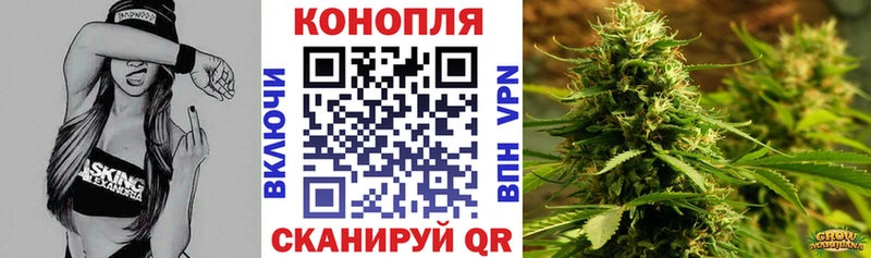 Купить где  Ермолино  Конопля гибрид 